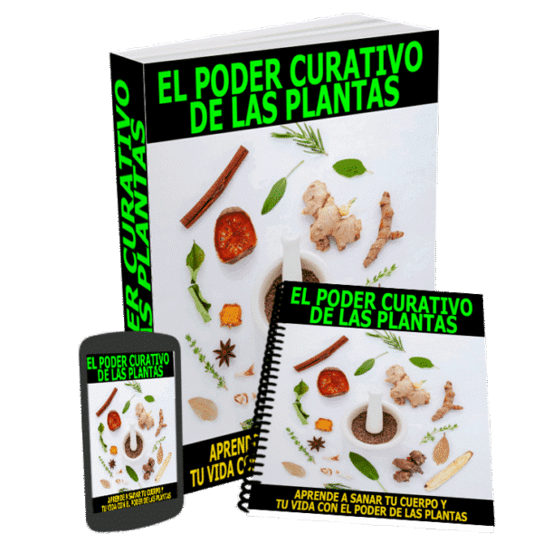 El poder curativo de las plantas