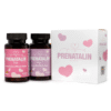 Salud prenatal